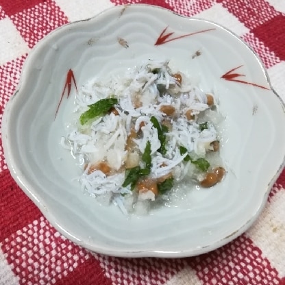 もう一品☆ほしくて作りました♡大豆の水煮がなかったので納豆で代用♡ねぱらないよう少量に。大根おろしと大葉・ポン酢でしらすがとてもさっぱりして美味しかったです♬